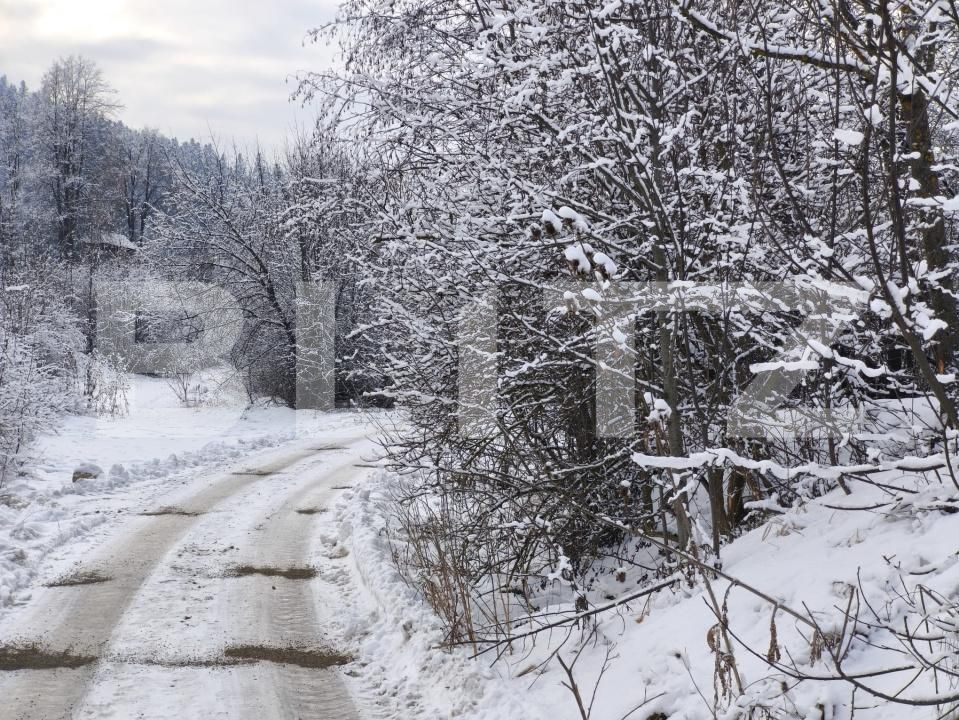 Teren de vânzare sucevita - 187025TV | BLITZ Suceava | Poza4