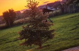 Casă de vânzare, Burdujeni, 7ari teren.