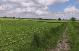 Teren intravilan, zona Scruntari, 8700mp, 30ml front stradal, Radauti