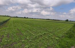 Teren intravilan, zona Scruntari, 8700mp, 30ml front stradal, Radauti