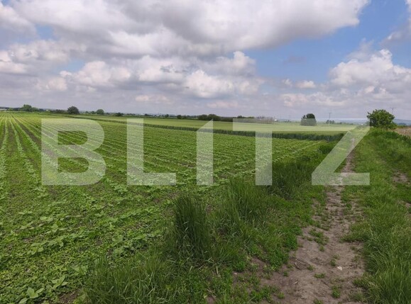 Teren de vânzare Radauti - 187041TV | BLITZ Suceava | Poza3