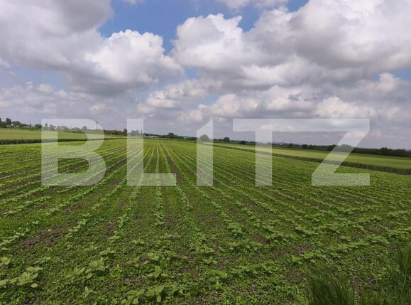 Teren de vânzare Radauti - 187041TV | BLITZ Suceava | Poza1
