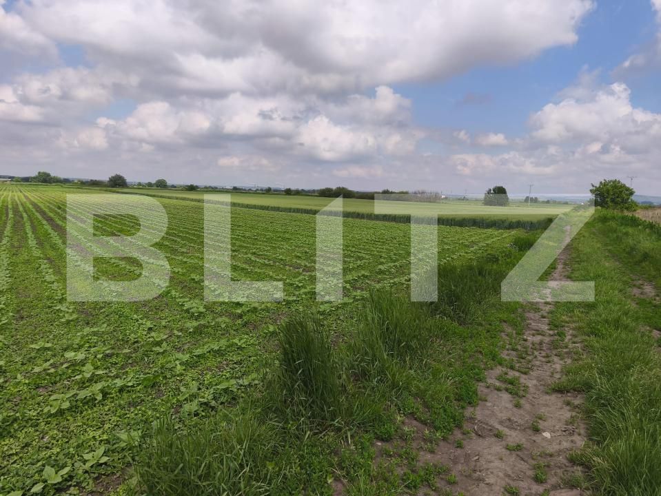 Teren de vânzare Radauti - 187041TV | BLITZ Suceava | Poza3
