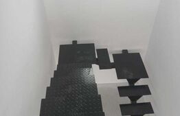 Duplex in cartier Mitocul Dragomirnei, 150 mp + 400 mp teren