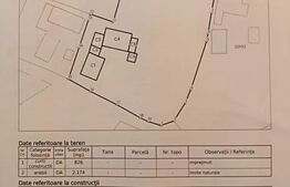 Casa batraneasca, 60 mp + 30 ari teren, Balaceana