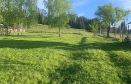 Teren intravilan in Vatra Dornei, 2000 mp
