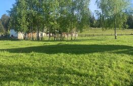 Teren intravilan in Vatra Dornei, 2000 mp