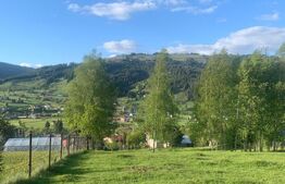 Teren intravilan in Vatra Dornei, 2000 mp