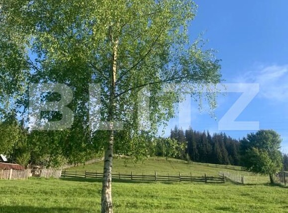 Teren de vânzare Exterior Vest - 187197TV | BLITZ Suceava | Poza4