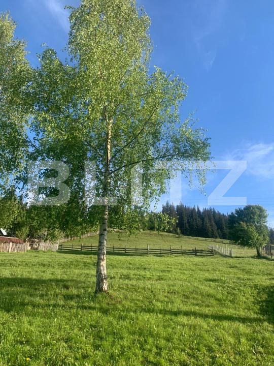 Teren de vânzare Exterior Vest - 187197TV | BLITZ Suceava | Poza4