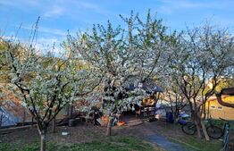 Casă de vânzare | 190 mp | 500 mp teren | Tătărași – Suceava