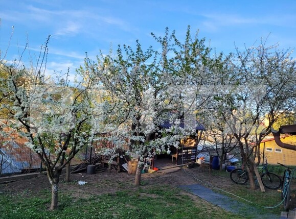 Casa de vânzare 5 camere Central - 187198CV | BLITZ Suceava | Poza9