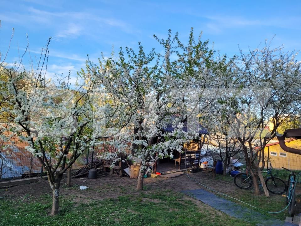 Casa de vânzare 5 camere Central - 187198CV | BLITZ Suceava | Poza9