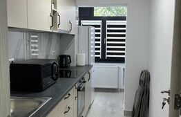 Garsoniera moderna, etaj intermediar , Radauti