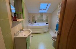 Casa de lux, 270mp utili, 7 camere, 1800mp teren in Salcea