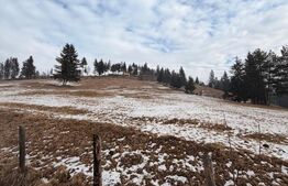 Teren extravilan 8290 mp, Front 50ml - Sadova - Panorama Bucovinei