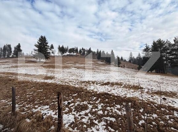 Teren de vânzare Exterior Vest - 187680TV | BLITZ Suceava | Poza1