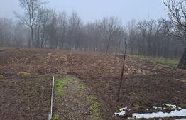 Casa parter, 72 mp utili, 1600 mp teren, zona Maritei