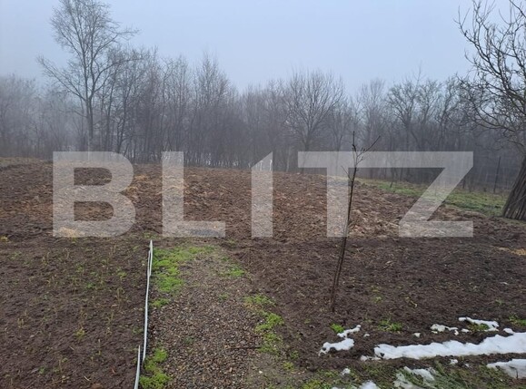 Casa de vânzare 3 camere Nord Est - 187684CV | BLITZ Suceava | Poza8