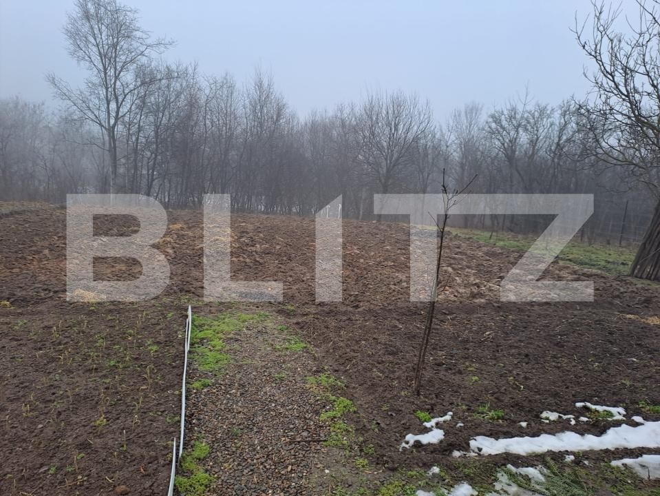 Casa de vânzare 3 camere Nord Est - 187684CV | BLITZ Suceava | Poza8