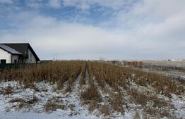 Teren extravilan, 33.6 ari, zona Frumoasa - Scheia.