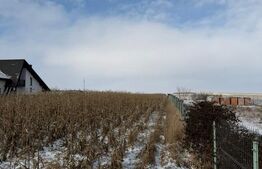 Teren extravilan, 33.6 ari, zona Frumoasa - Scheia.