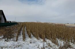 Teren extravilan, 33.6 ari, zona Frumoasa - Scheia.