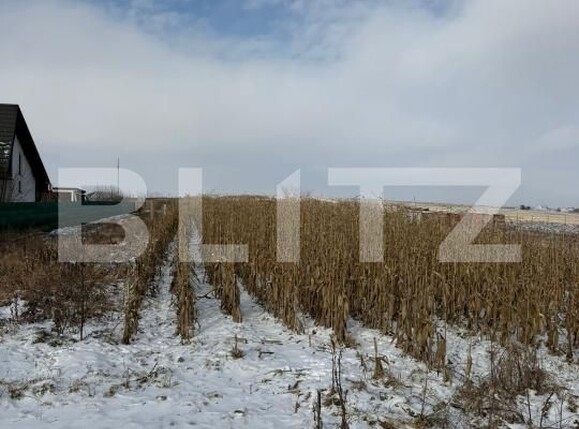 Teren de vânzare Exterior Vest - 187696TV | BLITZ Suceava | Poza4