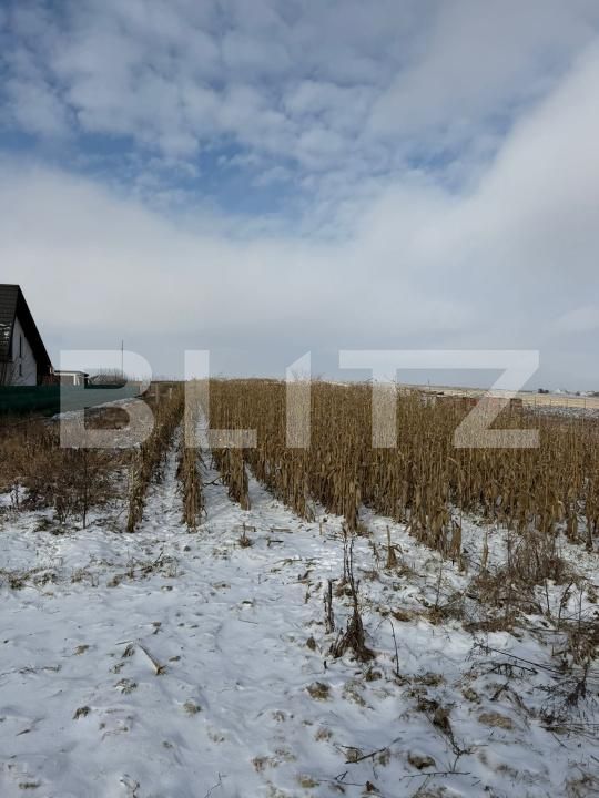Teren de vânzare Exterior Vest - 187696TV | BLITZ Suceava | Poza4