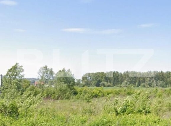 Teren de vânzare Periferie - 187698TV | BLITZ Suceava | Poza1