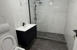 Spatiu comercial, 32 mp utili, cartier Lisaura  