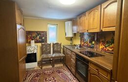 Casa  spatioasa , teren 3300 mp, Dornesti