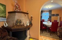 Casa  spatioasa , teren 3300 mp, Dornesti