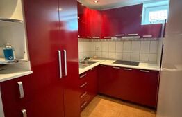 Casa  spatioasa , teren 3300 mp, Dornesti