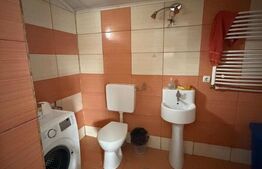 Casa  spatioasa , teren 3300 mp, Dornesti