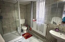 Casa  spatioasa , teren 3300 mp, Dornesti