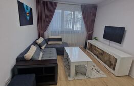 Apartament 2 camere, 47 mp, zona Catedrală