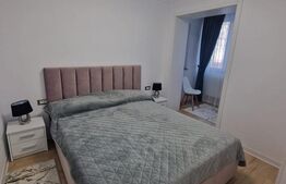 Apartament 2 camere, 47 mp, zona Catedrală