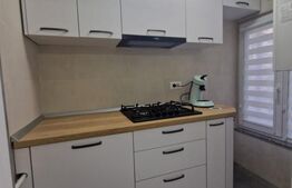 Apartament 2 camere, 47 mp, zona Catedrală
