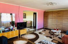 Vila Mitocu Dragomirnei, 286 mp utili, 6 camere, 25 ari teren