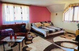 Vila Mitocu Dragomirnei, 286 mp utili, 6 camere, 25 ari teren