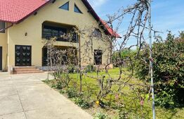 Vila Mitocu Dragomirnei, 286 mp utili, 6 camere, 25 ari teren