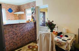 Vila Mitocu Dragomirnei, 286 mp utili, 6 camere, 25 ari teren