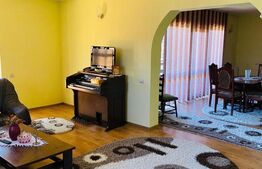Vila Mitocu Dragomirnei, 286 mp utili, 6 camere, 25 ari teren