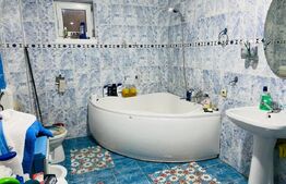 Vila Mitocu Dragomirnei, 286 mp utili, 6 camere, 25 ari teren
