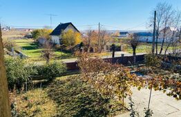 Vila Mitocu Dragomirnei, 286 mp utili, 6 camere, 25 ari teren