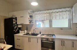 Casa individuala, 130 mp utili, zona centrala