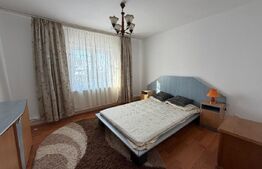 Casa multifunctionala, 490 mp utili, zona Liteni Moara Suceava