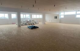 Spatiu Birouri 280 mp + Sala 500 mp, Multifunctionala, Zona Burdujeni