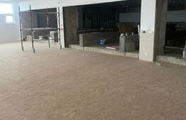 Spatiu Birouri 280 mp + Sala 500 mp, Multifunctionala, Zona Burdujeni